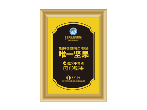 首屆中國國際進口博覽會唯一堅果
