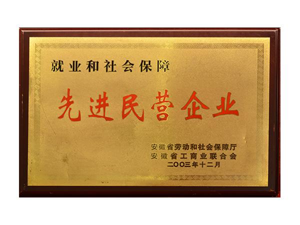 先進民營企業(yè)