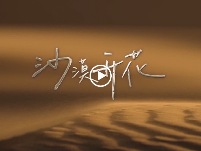 沙漠開花