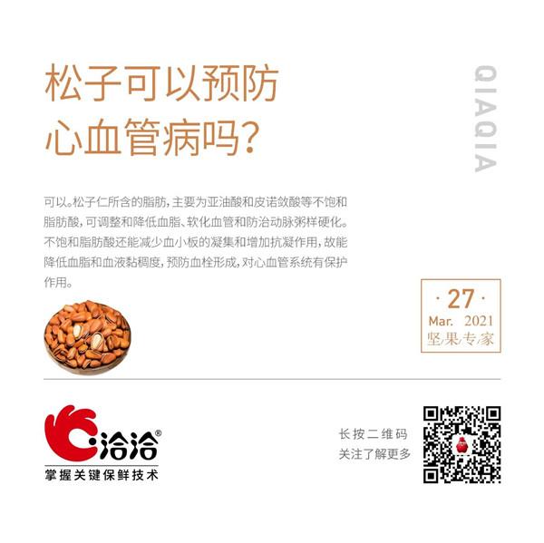 堅(jiān)果功效小科普 | 松子可以預(yù)防心血管病嗎？